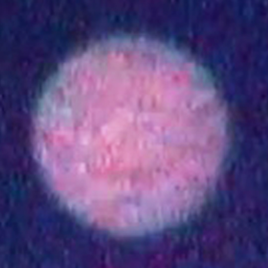 ΑΤΙΑ στο Λος Άντζελες των ΗΠΑ