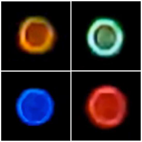 Νεβάδα ΗΠΑ - 28 Δεκεμβρίου του 2013