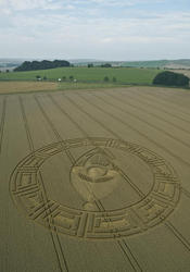 Cooks Plantation (γεωργικές εκτάσεις του Cook), κοντά στο Beckhampton, στο Wiltshire στην Αγγλία, την 23η Αυγούστου του 2013