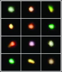 Το «άστρο» του Μαϊτρέγια πάνω από το Claremont, στο Οντάριο του Καναδά